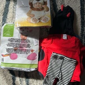 3 Infant Costumes - Ladybug, Lion, Unicorn
